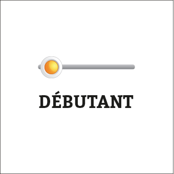 Votre niveau :